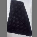 Premium Chiffon Embroidered Dupatta